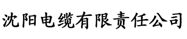 京东天美星空电缆厂logo